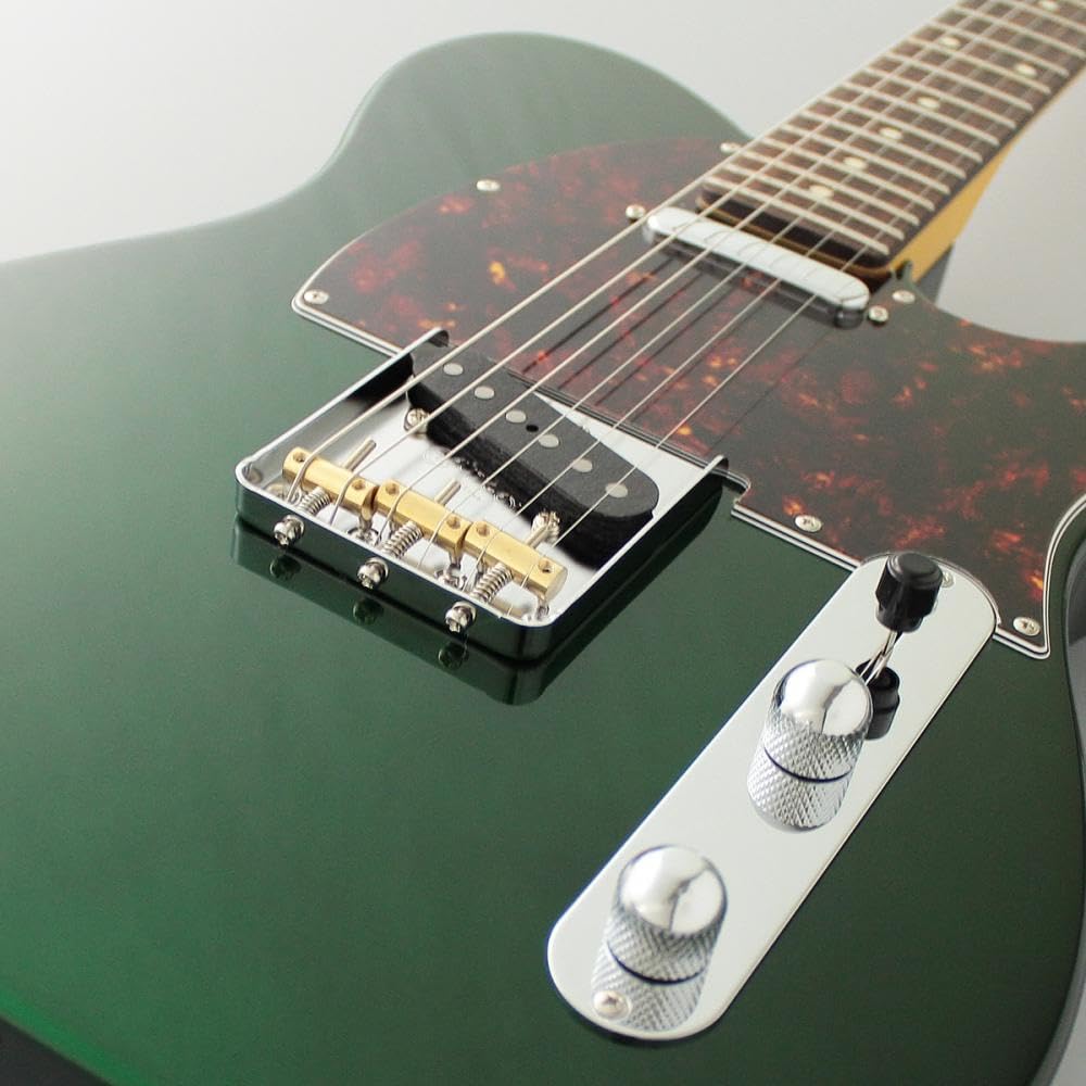 Amazon | FUJIGEN Neo Classic SERIES NTE100RAL-CAG/01 エレキギター