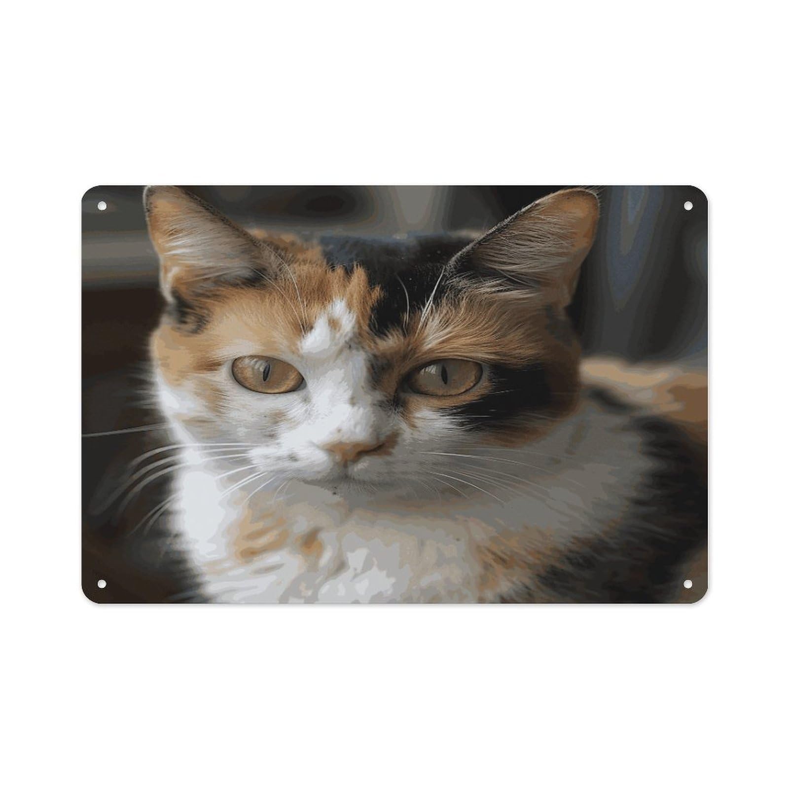 Btcowzrv Style A Cat Metal Sign 7.9 X 11.8 Inch, Aluminum Sign Wall Art Decor Easy To Install, Decorative Plaque For Home Bar Kitchen Pub Shop Garage