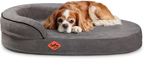 Laifug Cama ovalada de espuma viscoelástica para perros (36 x 25 x 8 pulgadas, gris oscuro), cama ortopédica para perros con forro impermeable