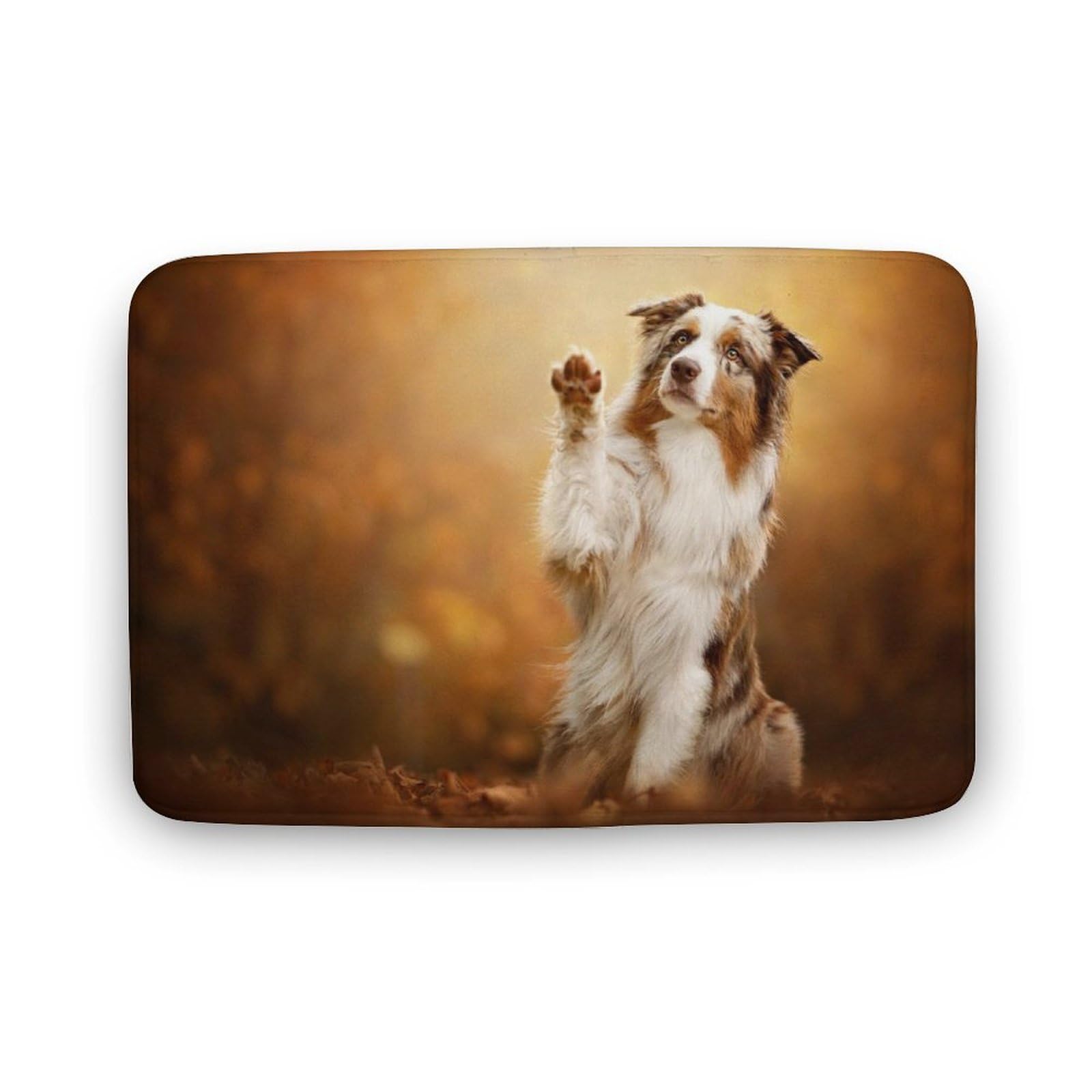 Australian Shepherd Non-Slip Bathroom Rugs Washable Bath Mats Doormat Carpet Decor for Shower Floor Indoor