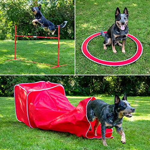 SPORT PET Designs Agility Training for Dogs - Affordable Training Kit for Dogs, red (CM-10026-CS01) - Thumbnail 6