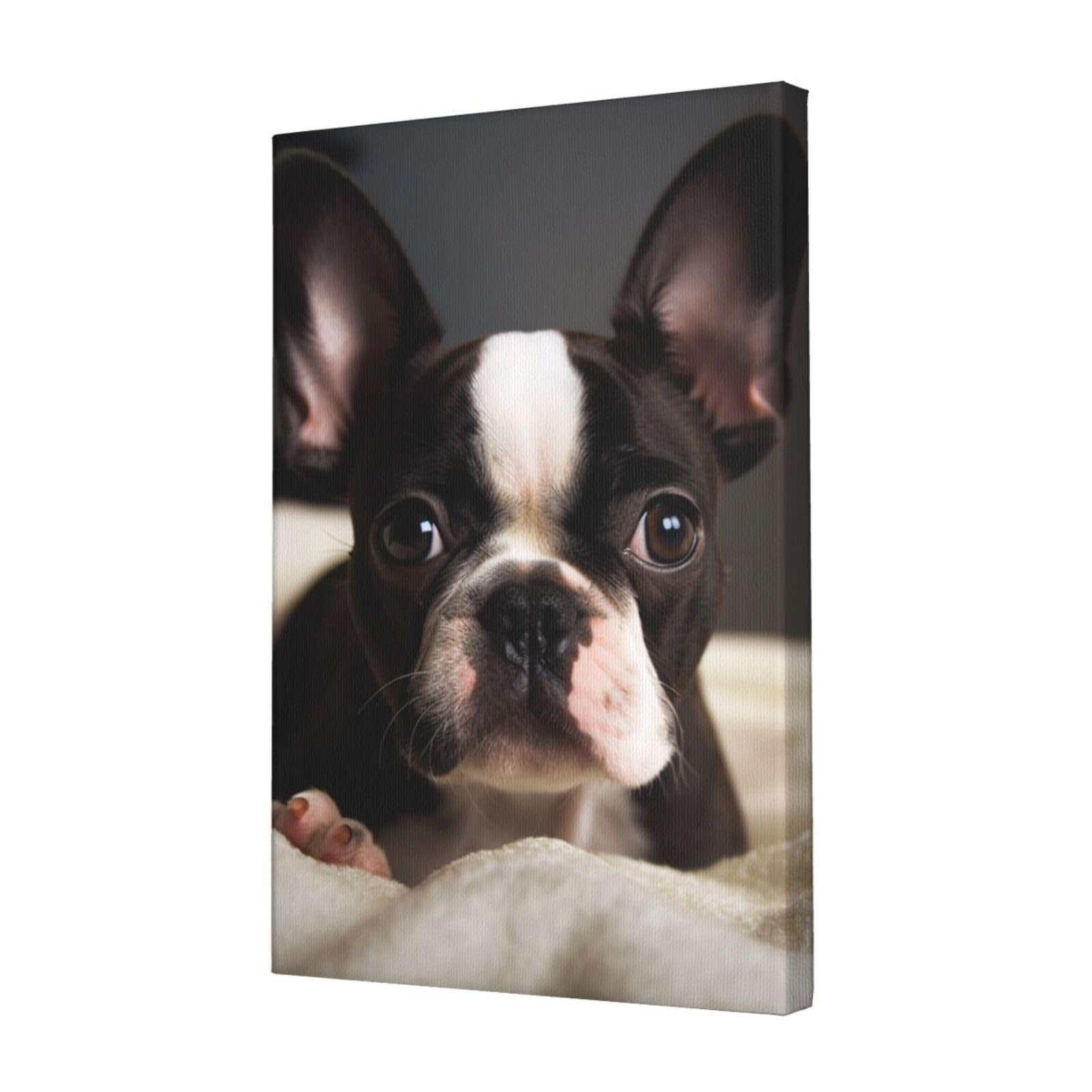 FodPand Cute Boston Terrier Canvas Wall Art for Living Room Wall Decor 12"x18" Modern Artwork Painting Pictures Hanging Canvas Prints Aesthetic Wall Art for Bedroom Bathroom Office Wallart Decor
