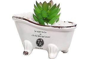 MyGift 6-Inch Mini Bathtub with Claws Planter