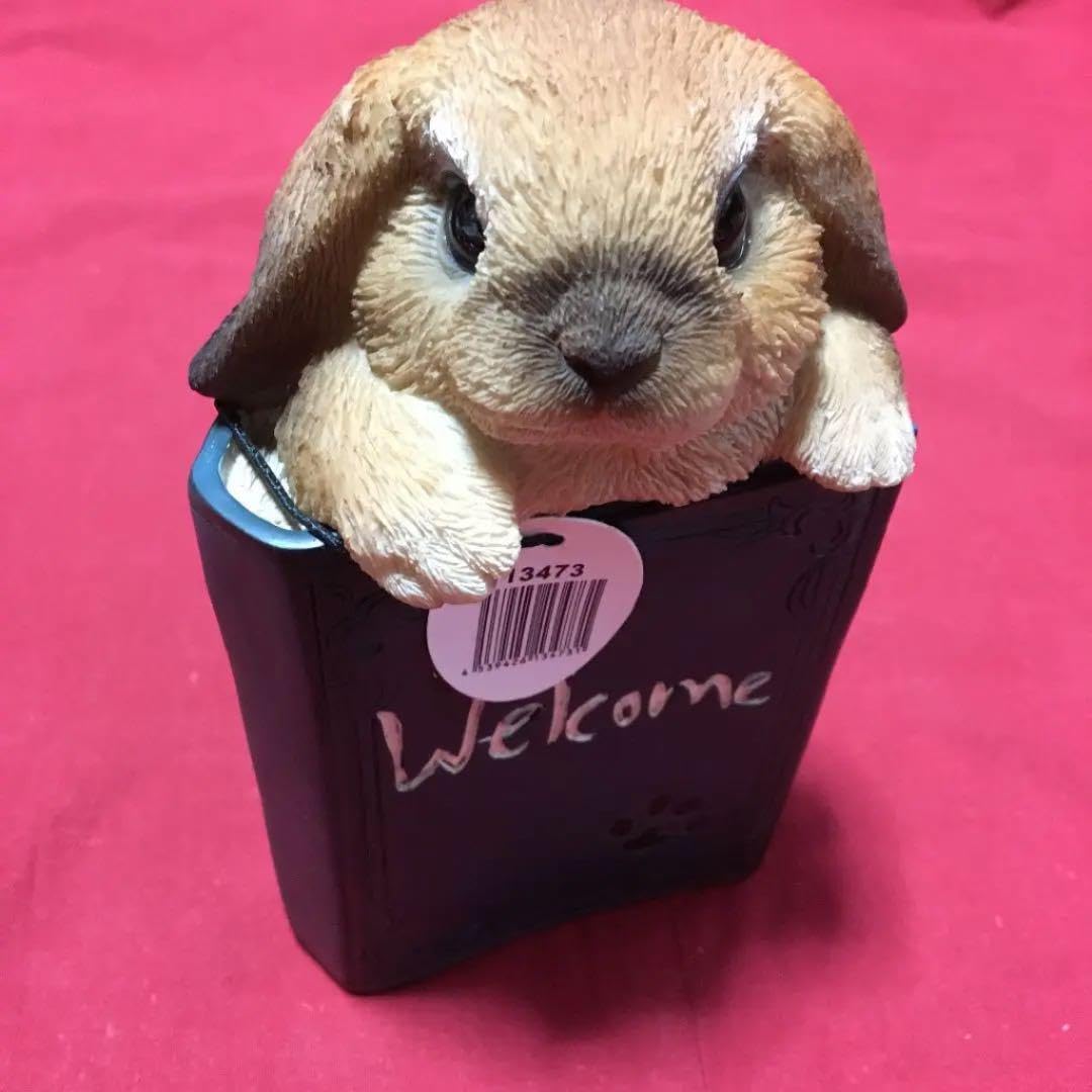 新品ガーグル ウサギ リング垂れ耳うさぎロップイヤーラビット