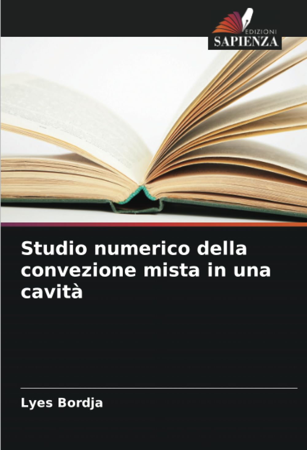 Studio numerico della convezione mista in una cavit