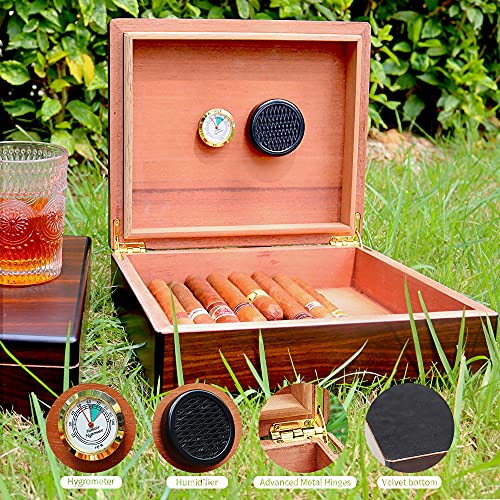The 29 Best Home Humidors of 2024 [Verified] Cherry Picks