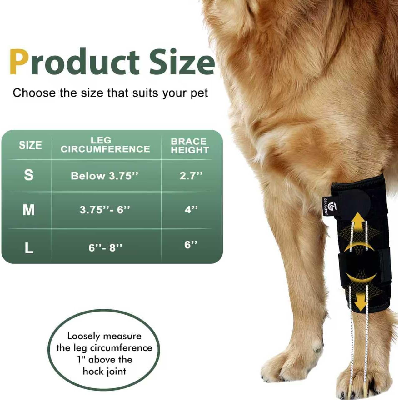 Dog Front Leg Support Brace for Foot Drop, Canine Knuckling Prevention, Toe Dragging Assistance