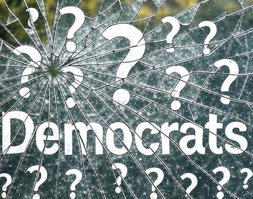 Who or What has the Democratic Party Become?