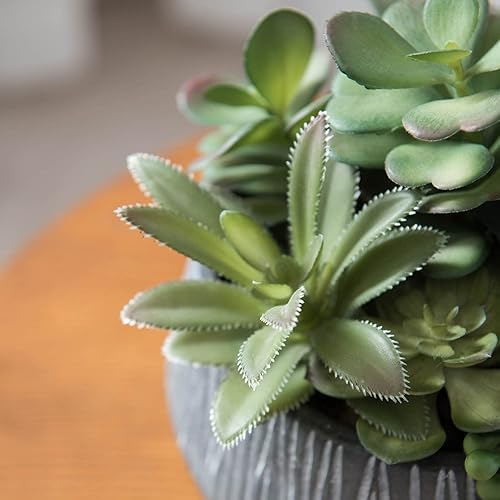Miniatura 3 de FAVRD - Suculentas artificiales en maceta de cemento ecológicamente conscientes parcialmente recicladas, plantas artificiales para interiores