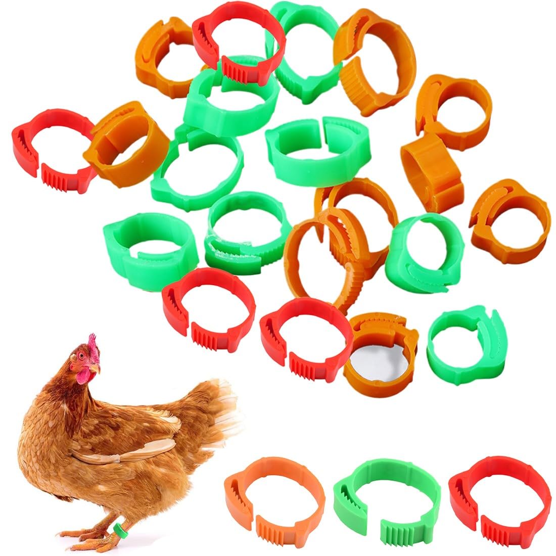 JEYORZY 60 Piezas Anillas para Gallinas, Anillos de Marcado para Pollos, Gansos, Patos