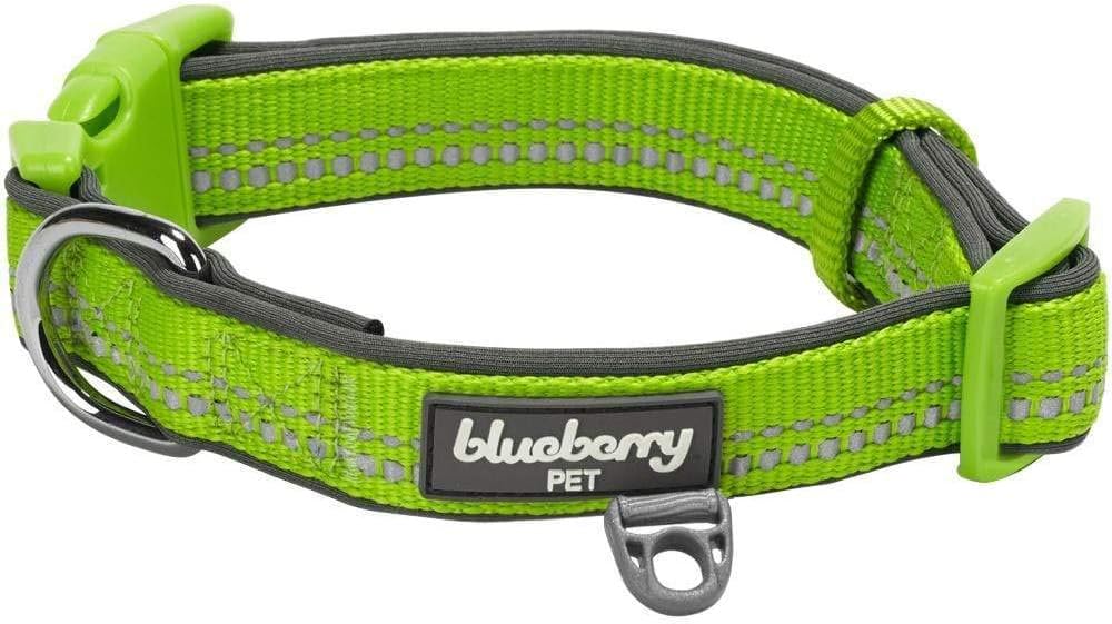 Blueberry Pet Soft & Comfy 3M Reflective Pastel Baby Green Adjustable Padded Dog Collar, Large