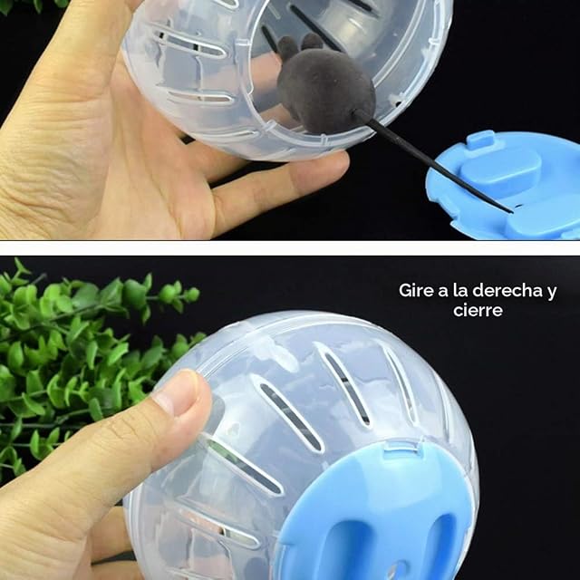 Foto 3 de 8 de WANGQI Pelota Para Hámster Y Ratones, Juguete Para Roedores, Para Correr, Entrenar, Ejercicio, Pequeña Mascota