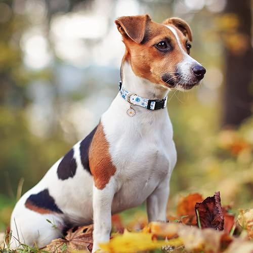 Miniatura 4 de 2 collares de algodón para perros pequeños, medianos y grandes, lindo collar de perro con hebilla de liberación rápida (pequeño, azul + flor rosada)