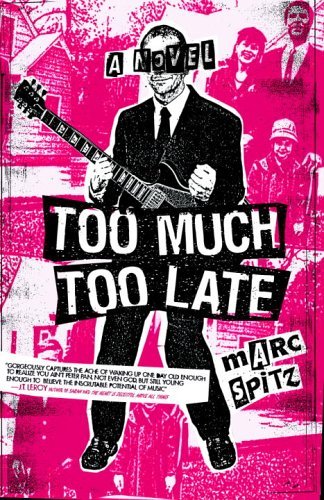 Too Much, Too Late: A Novel