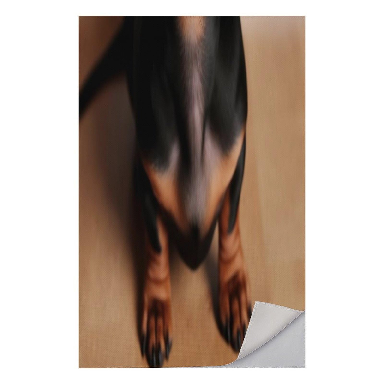 AQRJLPM Cute Wiener Sausage Dog Quick Dry Towel Cold Fabric Workout Sweat Towels Highly Absorbing Odor-Free Travel Towel for Hot Yoga Tennis Running Exercise Working Out Camping