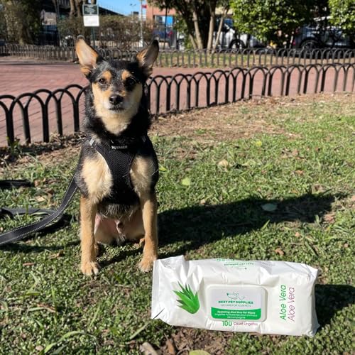 Best Pet Supplies Hydrating Aloe Vera Fragrance-Free Pet Wipes for Dogs & Cats Extra Soft & Strong Grooming Wipes with Gentle Plant-Derived Formula (100 Pack) WW-AV-100C - Image 7