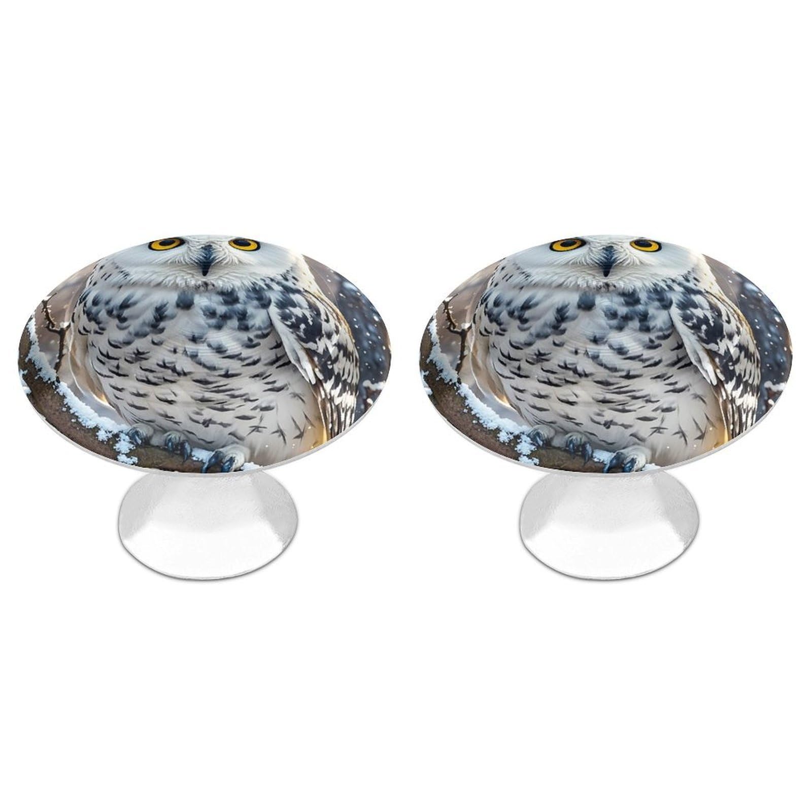 FekiLoot Winter White Owl Cabinet Knobs 2 Pack Stainless Steel Round Dresser Drawer Knobs Kitchen Drawer Hardware Dresser Knob Closet Door Pulls Cabinet Handles for Cupboard Drawer Pulls