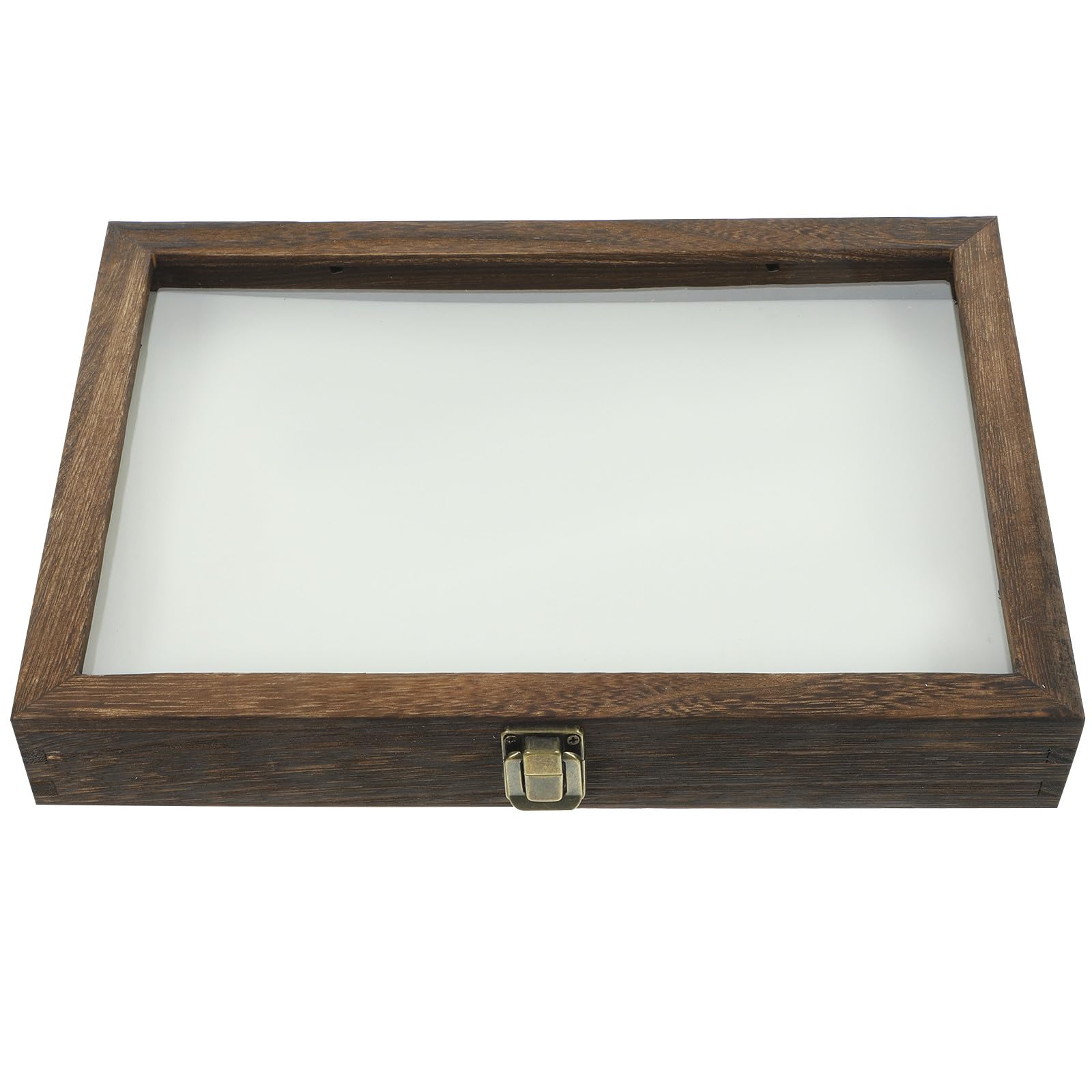 Générique Boîte à Spécimens de Plantes en Bois de Pin 31X22X4 CM avec Tapis Blanc pour Épinglage Vitrine D’Entomologie Compacte et Légère Présentoir Insectes et Lépidoptères pour