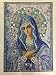 Diamond Painting DIY 5D Special Shape Rhinestones, ABEUTY Virgin Mary Catholic, Partial Drill Crystal Diamond Dotz Kits