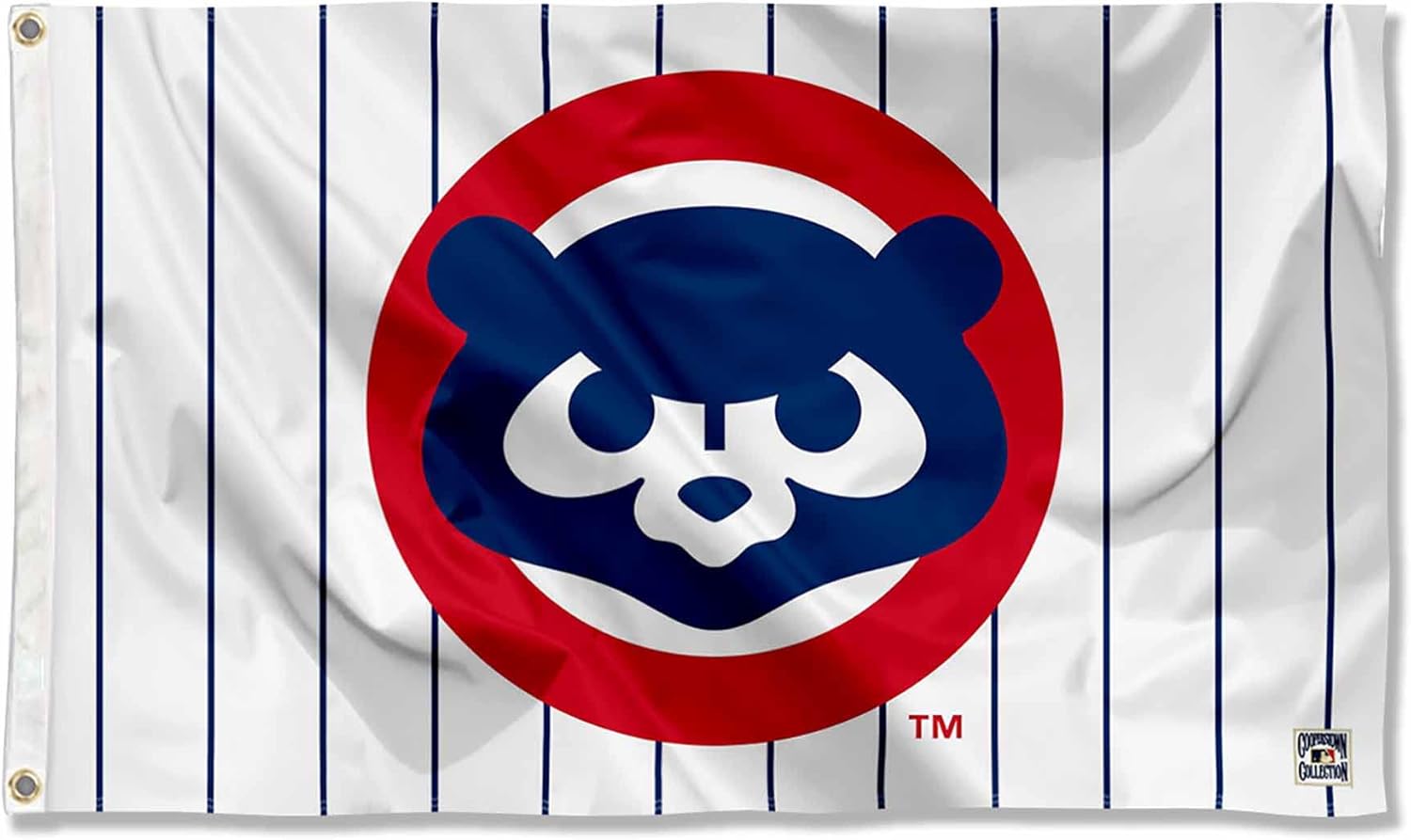 Chicago Baseball Vintage and Banner