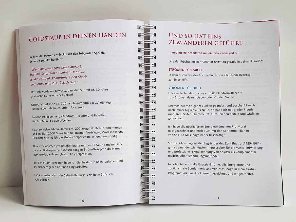 Energie-Strömen für mich & dich [DIN A 5]: Das große Praxisbuch des Strömens - Alle Ström-Rezepte von Jiro Murai nach praktischen und ergonomischen Kriterien weiterentwickelt.