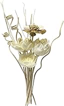 Reed Diffuser Sticks, Reed Diffuser Sticks Flowers, Reed Diffusers Set for Bathroom, Reeds Diffuser for Home, Bedroom Decor, Office,12Pcs, Natural Flower