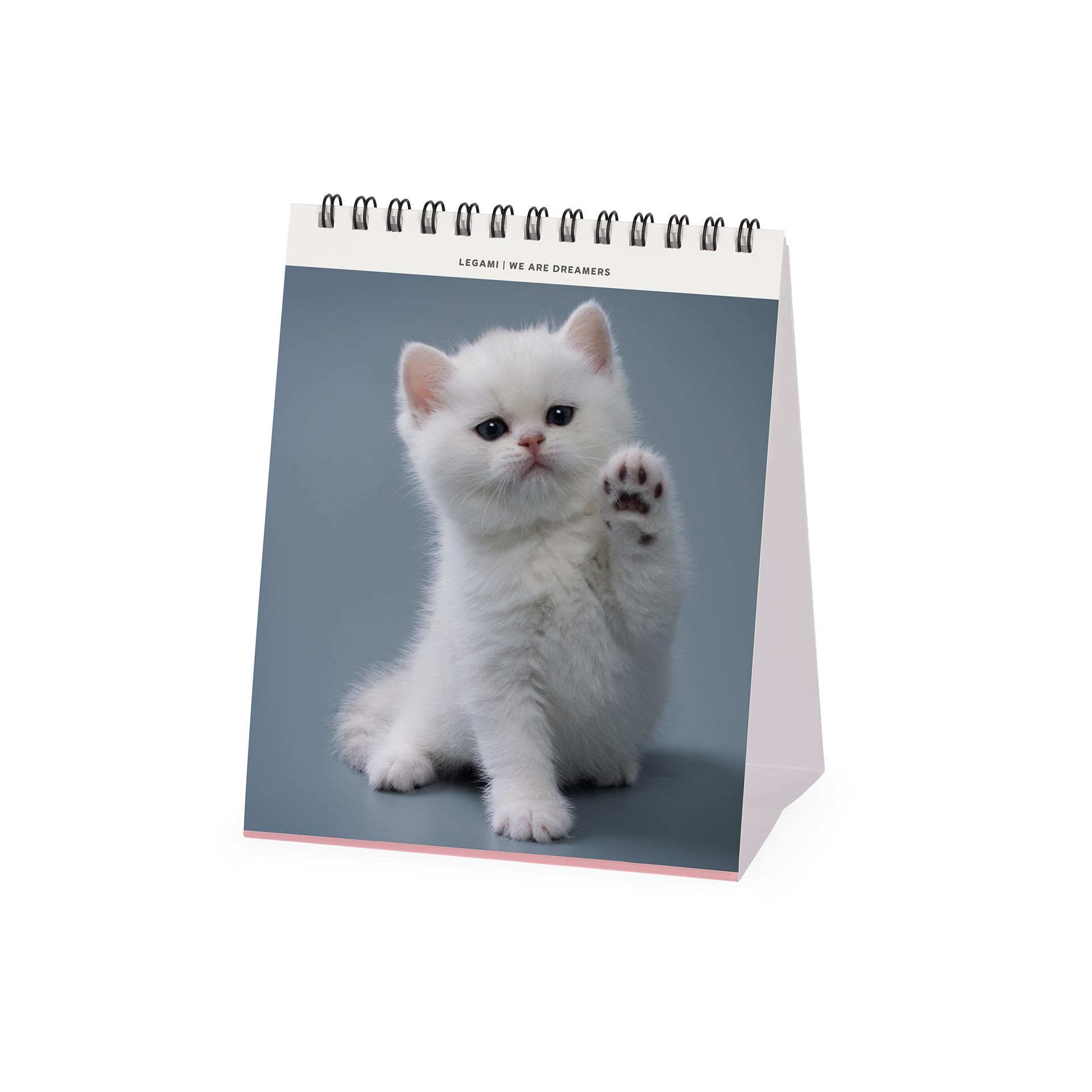 Wandkalender 2026 Rome Legami Wandkalender 2026, Italië, Kleine Wandkalender, 12 Jaarplanner Met Notities