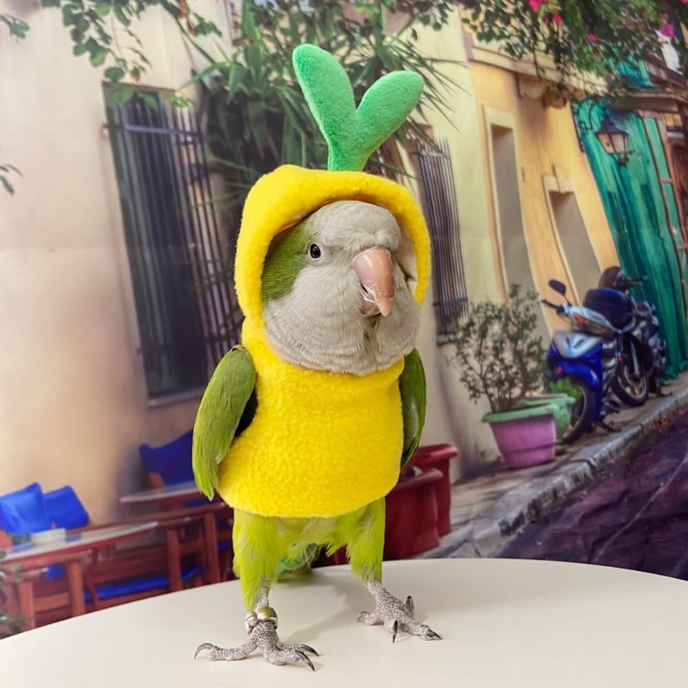 Bird Costume Bird Diaper Flight Suit Bird Clothes Cosplay Photo Prop for Parrots Parakeet Cockatiel Sun Conure, Bird Hoodie Small Animals Apparel (Bowknot, Without Diaper,Caique)