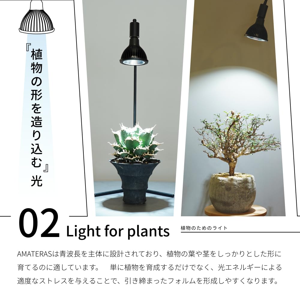 Amazon.co.jp: 【BARREL公式】植物育成LEDライト NEO AMATERAS-20W