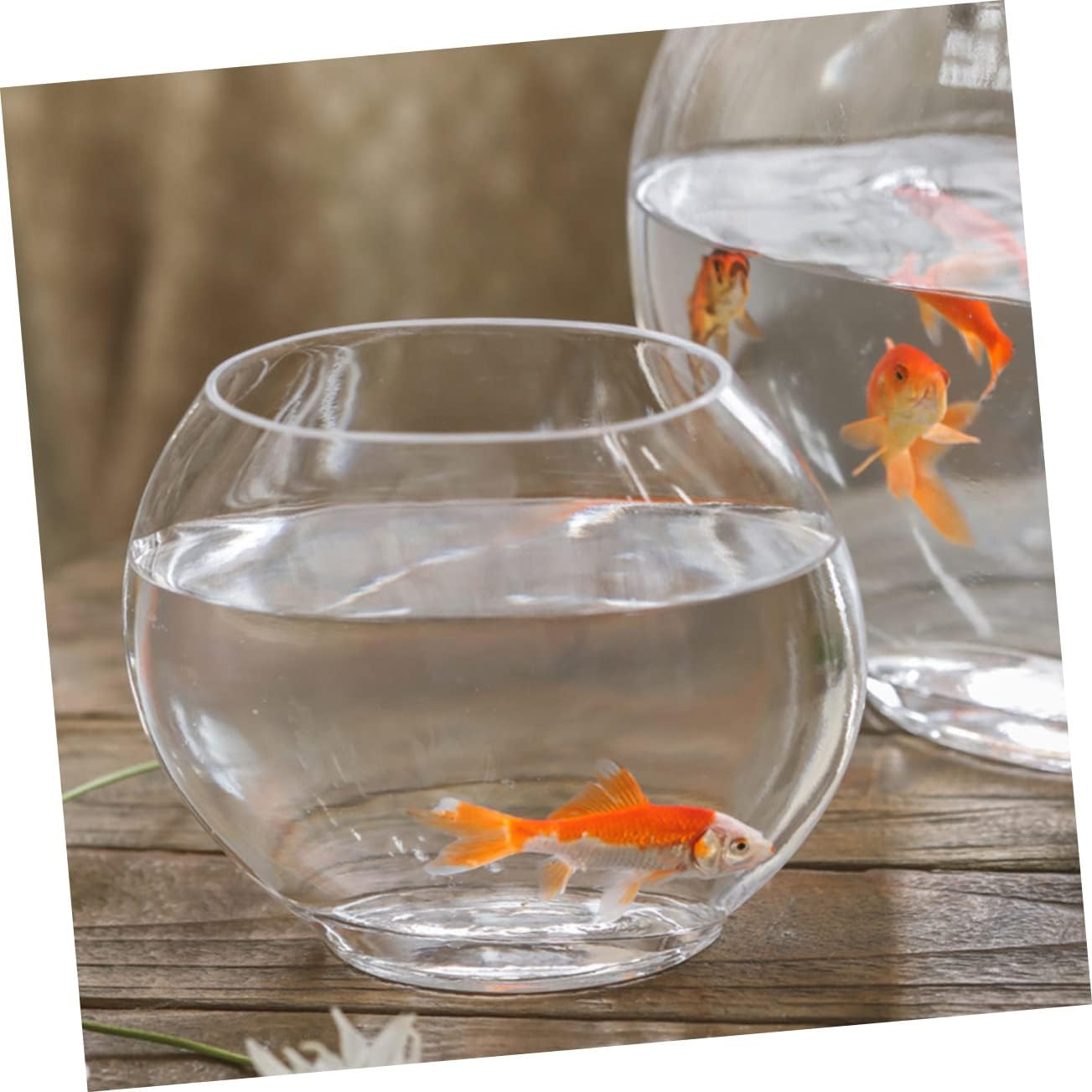VANZACK Multi-Function Transparent Aquarium Tank Desktop Fish Bowl for Decor Compact Design for Betta Fish and Plants Construction