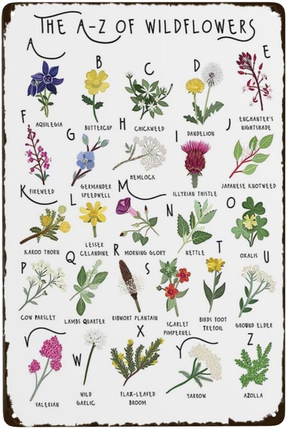 Nuboxx Types Of Wildflowers Metal Tin Sign The A-Z Of Wildflowers Knowledge Tin Sign Decoration Creative Fun Home Bathroom Patio Bar Bar Poster Sign 8X12 Inches
