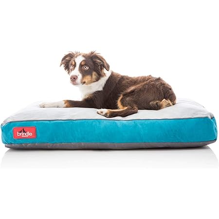 brindle soft shredded memory foam dog bed