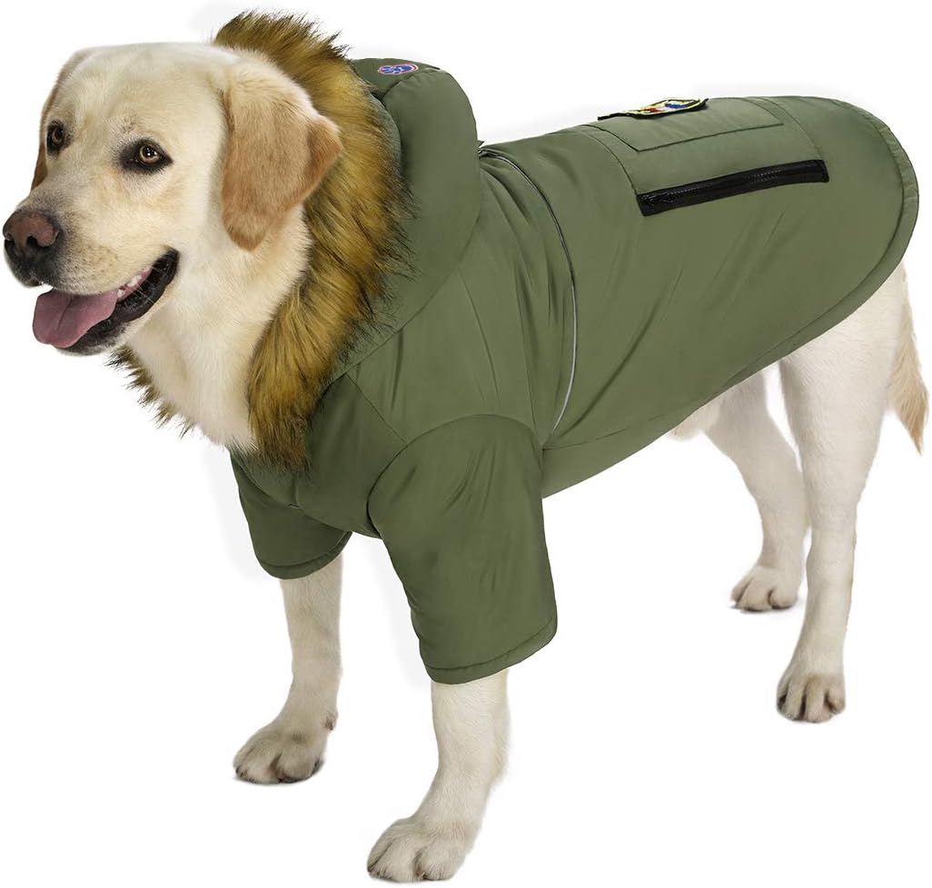 Dog down jacket Clearance