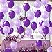 100pcs Dark Purple and Light Purple Balloon Clearance - Latex 10