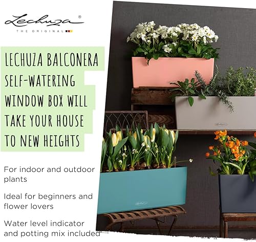 Miniatura 2 de Lechuza - Maceta balconera, color 50