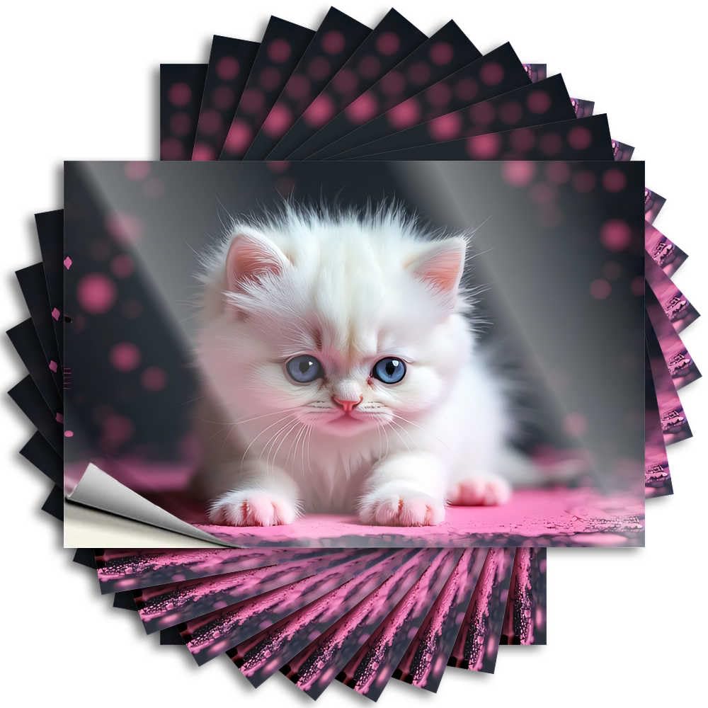 Fzfn Women's Colour Decorations For Room Paw Stickers - Adorable White Kitten With Blue Eyes Cover Waterproof Vinyl Sticker(6X9cm)