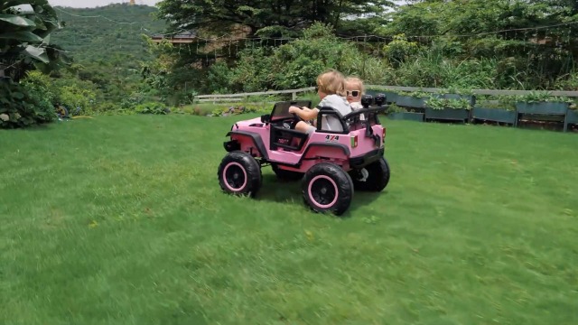 Amazon.com: Hikole 24V Electric Ride on Truck, 2 Seater Battery