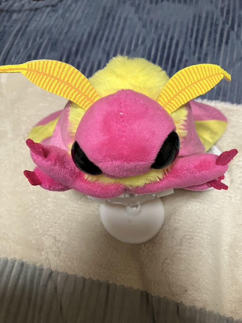 巨大ぬいぐるみ 昆虫MANIAC おおきなロージーメープルモス Amazon.co