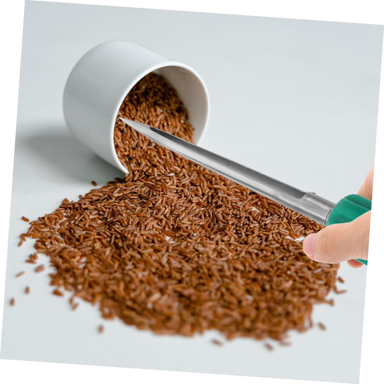 TOYANDONA Muestreador de Granos Reutilizable 2 Piezas, Sonda de Muestreo de Acero Inoxidable Mango Plástico, 25 Cm, para Polvo, Semillas y Experimentos Agrícolas en Laboratorio y Granja