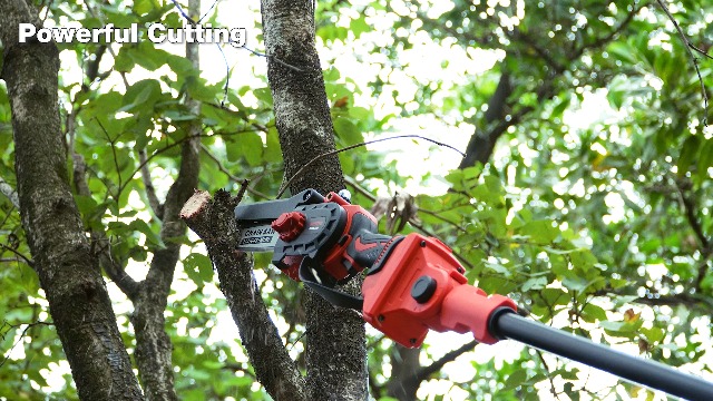 Amazon.com : Upgraded 2-in-1 Cordless Pole Saw & 8 Inch Mini