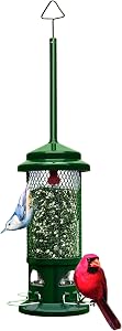 Squirrel Buster Standard Squirrel-Proof Bird Feeder, 1.3 lb Capacity | 4 Metal Perches, Chew-Proof, Easy to Fill & Clean, Perfect for Sunflower Seeds, Blends & Dried Mealworms, Green