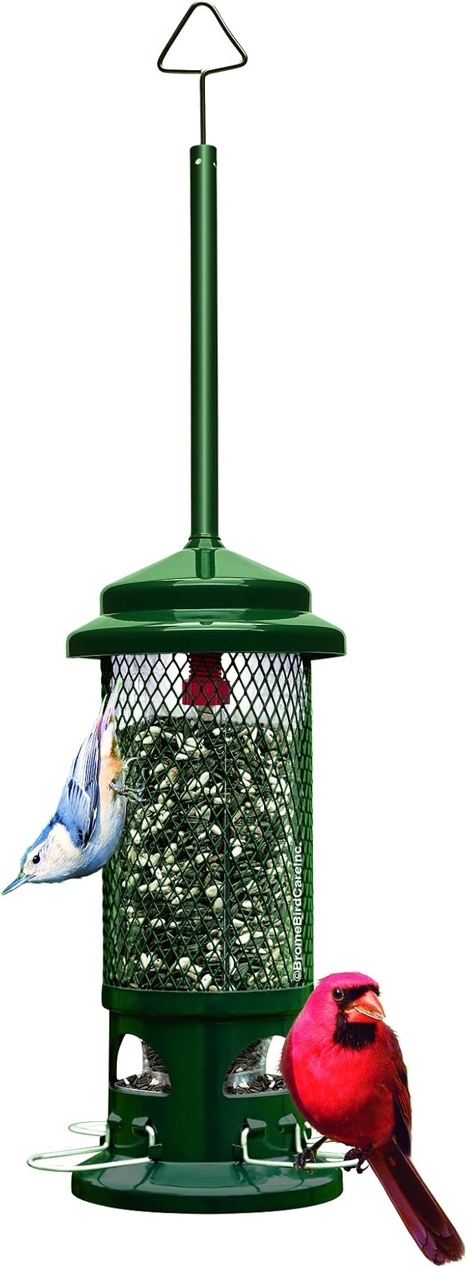 Squirrel Buster Standard Squirrel-proof Bird Feeder w/4 Metal Perches, 1.3-pound Seed Capacity, garden green
