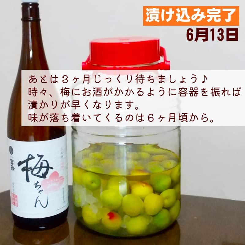 Amazon.co.jp: （漬ける）梅酒用 日本酒 梅ちゃん 1800ml 20度 果実酒
