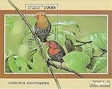 Prophila bénin Bloc 45 (complète.Edition.) 1999 Les Petits Oiseaux Dehors Tous Monde (Timbres pour Les collectionneurs)