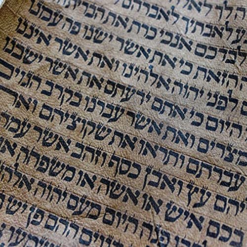 The book of 1 Samuel Ch 1