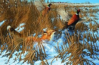 Michael Sieve - Fast Food Hunter - Red Fox
