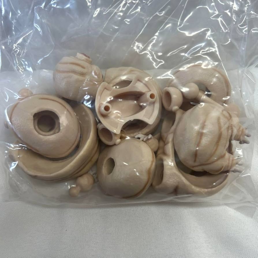 Amazon.co.jp: Primary Color Encyclopedia Series Extra