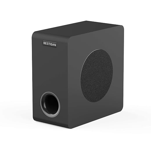 BESTISAN Powered Subwoofer for Deep Low-End Impact