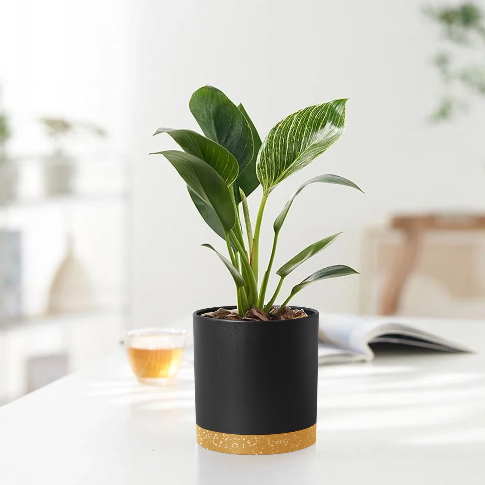 Homeuouz 5 Packs Blumentopf mit Untersetzer, 17.8/15.2/14/12.7/10.2cm Pflanzentopf, Plastik Übertopf, Hydrokultur Topf, Blumentöpfe Set Ideal für Innen und Balkongärten, Schwarz mit braunes Tablett