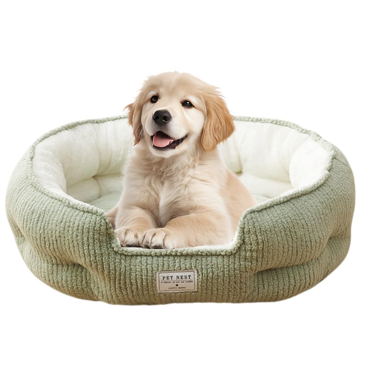 Odot Solid Color Fleece Dog Bed, Washable Rectangle Pet Bed for Kitten Puppy, Pet Cushion with Soft Cosy Warm Plush Fabric and Anti-Slip Bottom, Can Soothe Cats and Dogs (Green,L: 58x50cm)